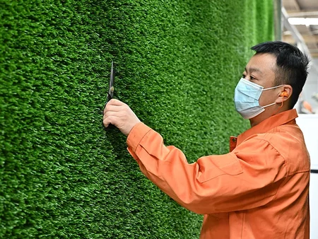 Inspección de la calidad del césped a mitad del proceso