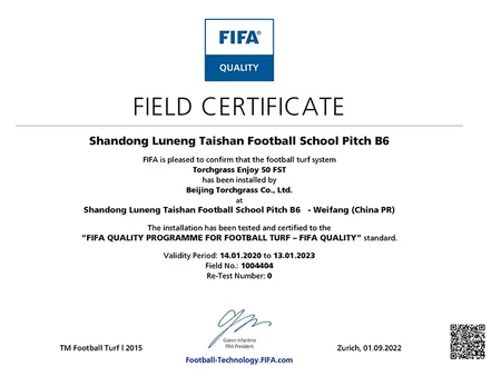 Campo B6 de la Escuela de Fútbol Shandong Luneng Taishan - Certificado por la FIFA