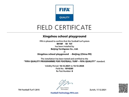 Patio de recreo de la escuela de Xingshou - Certificado por la FIFA