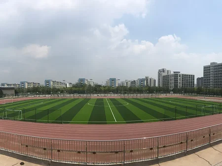 Universidad Tecnológica de Tianjin
