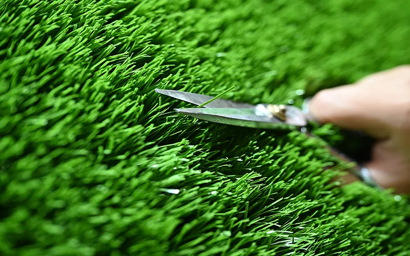 Conoce más sobre Torchgrass