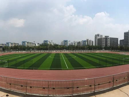 Universidad Tecnológica de Tianjin