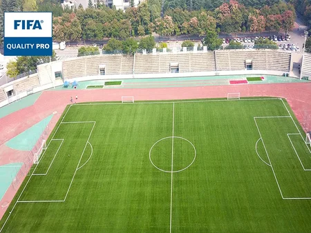 Polideportivo de la Universidad Normal de Shaanxi (Campus de Chang'an)
