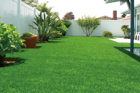 Casos de éxito relacionados