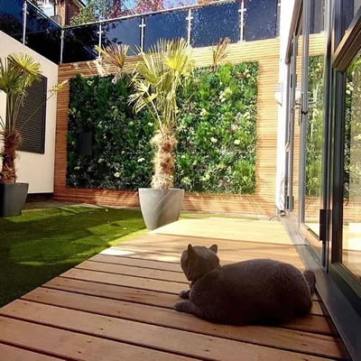 Pared verde artificial